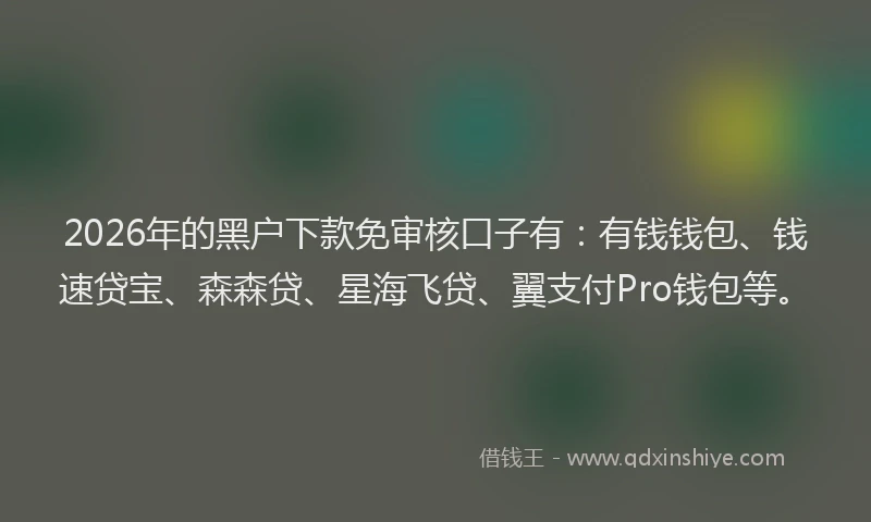 2026年的黑户下款免审核口子有：有钱钱包、钱速贷宝、森森贷、星海飞贷、翼支付Pro钱包等。