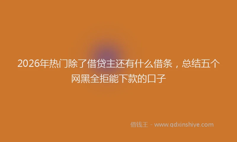 2026年热门除了借贷主还有什么借条，总结五个网黑全拒能下款的口子