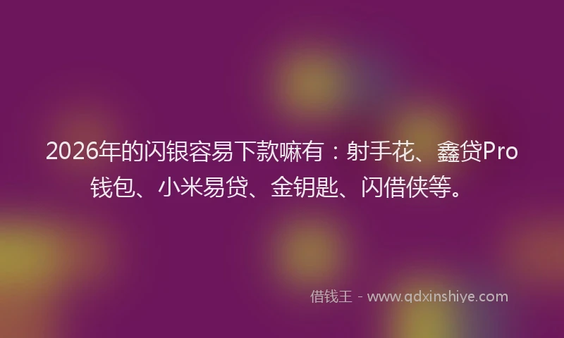 2026年的闪银容易下款嘛有:射手花、鑫贷Pro钱包、小米易贷、金钥匙、闪借侠等。