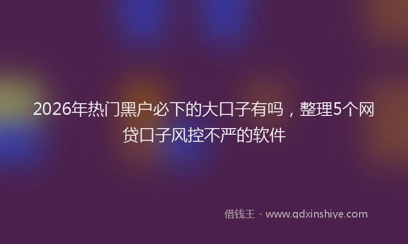 2026年热门黑户必下的大口子有吗，整理5个网贷口子风控不严的软件