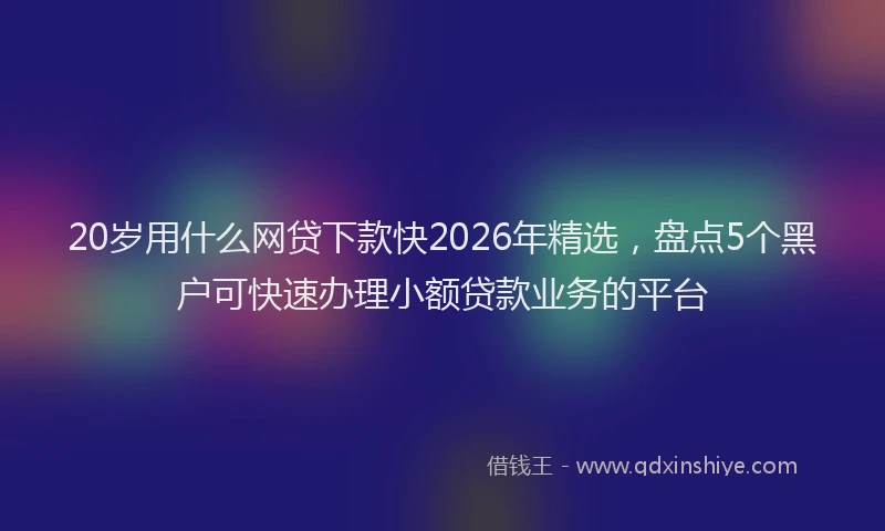 20岁用什么网贷下款快2026年精选，盘点5个黑户可快速办理小额贷款业务的平台