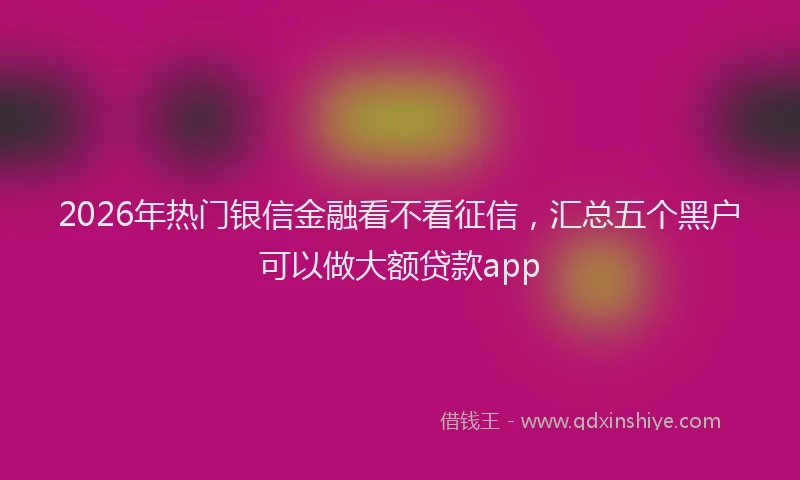 2026年热门银信金融看不看征信，汇总五个黑户可以做大额贷款app