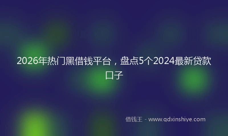 2026年热门黑借钱平台，盘点5个2024最新贷款口子