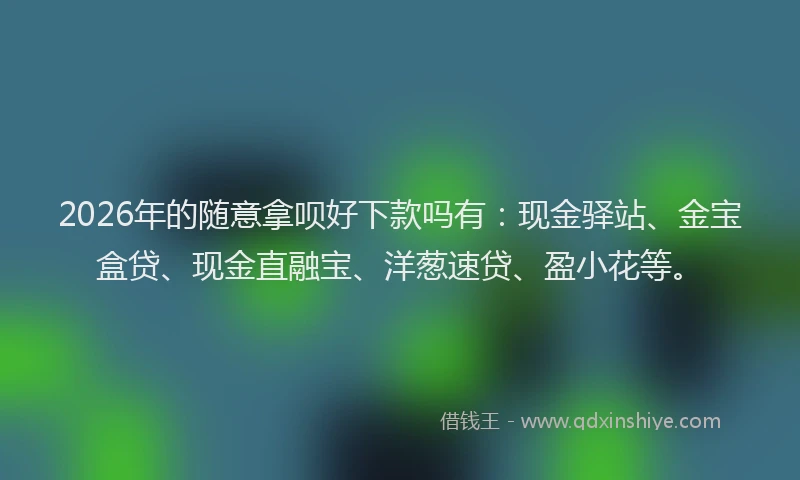 2026年的随意拿呗好下款吗有：现金驿站、金宝盒贷、现金直融宝、洋葱速贷、盈小花等。