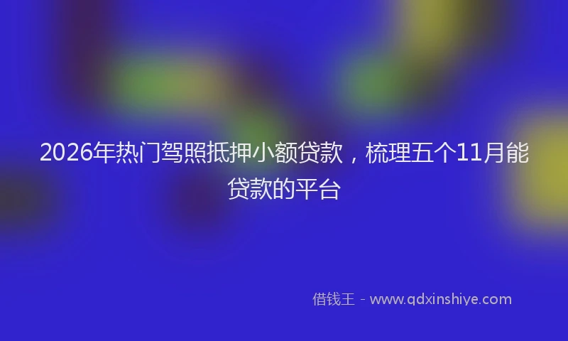 2026年热门驾照抵押小额贷款，梳理五个11月能贷款的平台