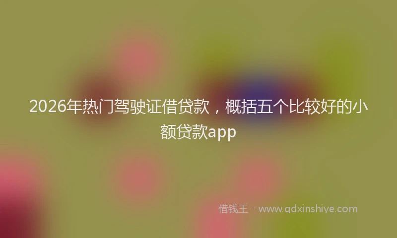 2026年热门驾驶证借贷款，概括五个比较好的小额贷款app