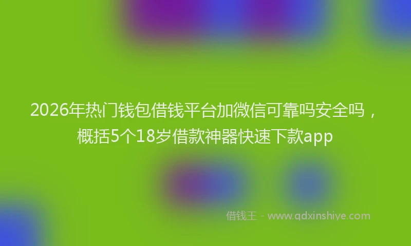 2026年热门钱包借钱平台加微信可靠吗安全吗，概括5个18岁借款神器快速下款app