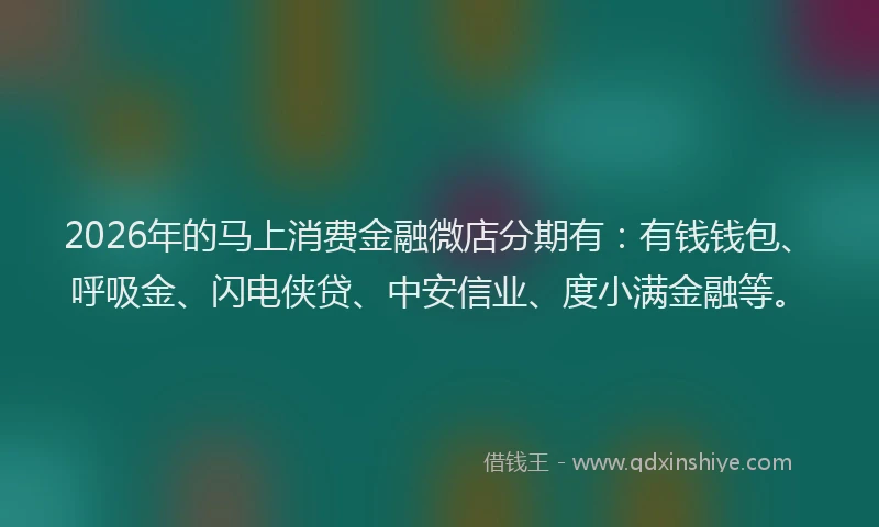2026年的马上消费金融微店分期有：有钱钱包、呼吸金、闪电侠贷、中安信业、度小满金融等。