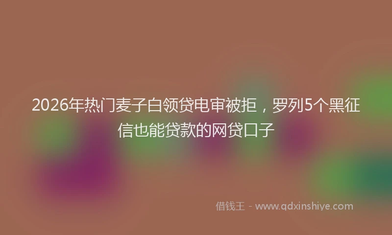 2026年热门麦子白领贷电审被拒，罗列5个黑征信也能贷款的网贷口子