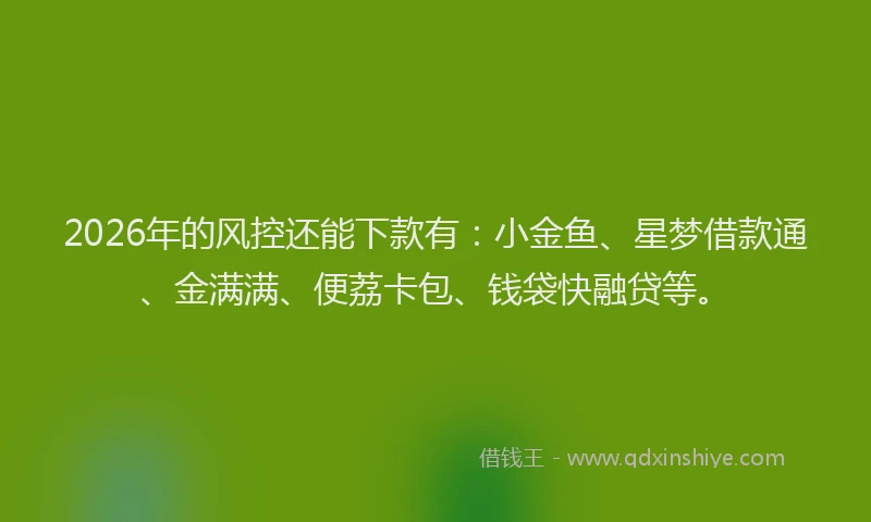 2026年的风控还能下款有：小金鱼、星梦借款通、金满满、便荔卡包、钱袋快融贷等。
