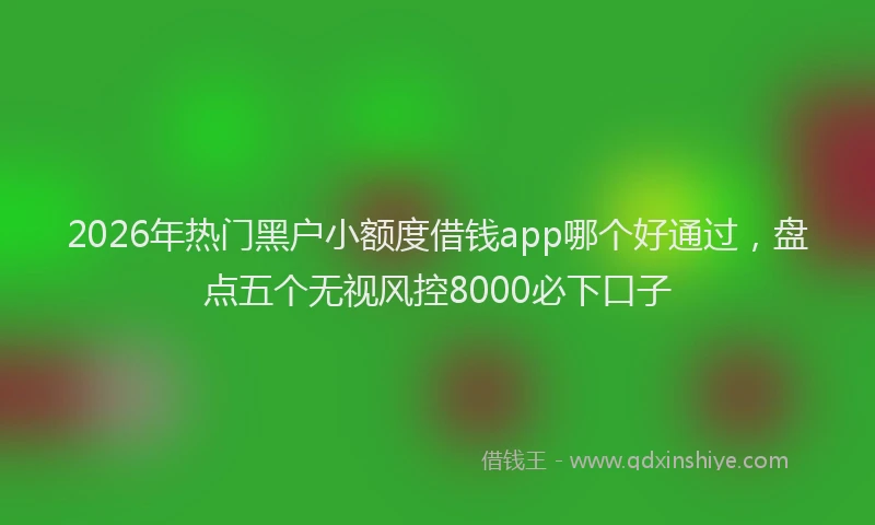 2026年热门黑户小额度借钱app哪个好通过，盘点五个无视风控8000必下口子