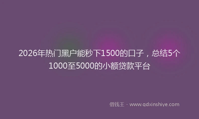 2026年热门黑户能秒下1500的口子,总结5个1000至5000的小额贷款平台