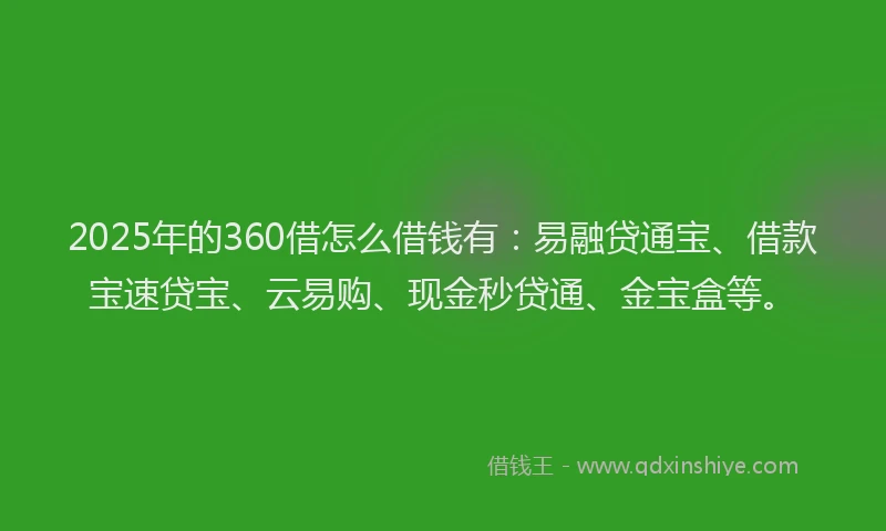 2025年的360借怎么借钱有：易融贷通宝、借款宝速贷宝、云易购、现金秒贷通、金宝盒等。