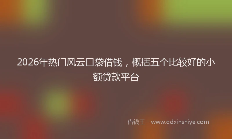 2026年热门风云口袋借钱，概括五个比较好的小额贷款平台