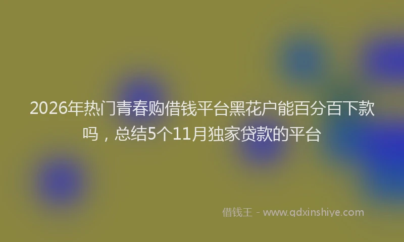 2026年热门青春购借钱平台黑花户能百分百下款吗，总结5个11月独家贷款的平台