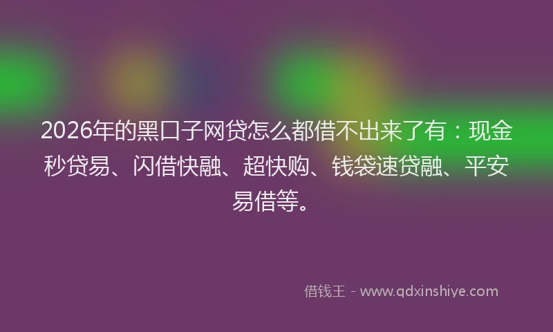 2026年的黑口子网贷怎么都借不出来了有：现金秒贷易、闪借快融、超快购、钱袋速贷融、平安易借等。