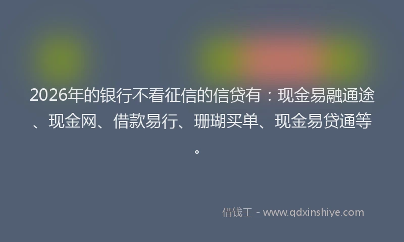 2026年的银行不看征信的信贷有:现金易融通途、现金网、借款易行、珊瑚买单、现金易贷通等。