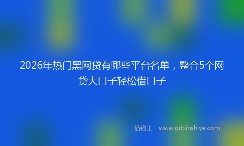 2026年热门黑网贷有哪些平台名单，整合5个网贷大口子轻松借口子