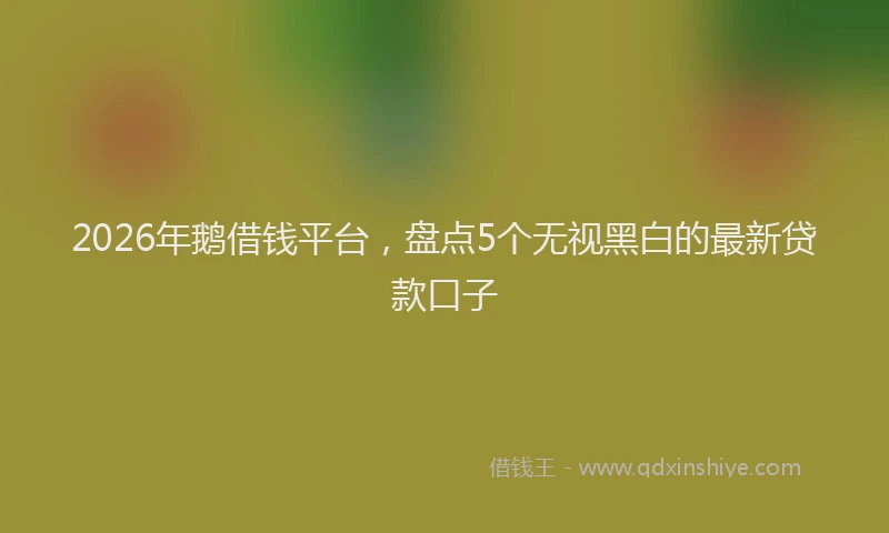 2026年鹅借钱平台，盘点5个无视黑白的最新贷款口子