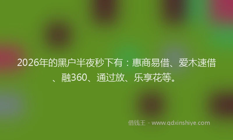 2026年的黑户半夜秒下有：惠商易借、爱木速借、融360、通过放、乐享花等。