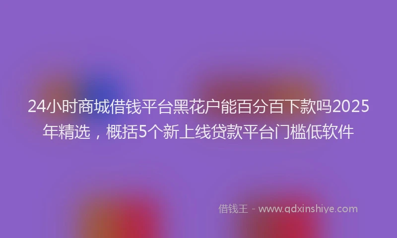 24小时商城借钱平台黑花户能百分百下款吗2025年精选，概括5个新上线贷款平台门槛低软件