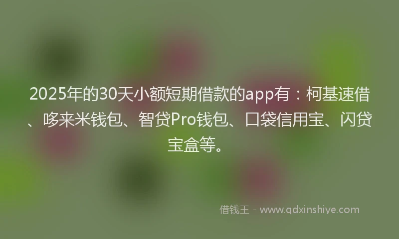 2025年的30天小额短期借款的app有：柯基速借、哆来米钱包、智贷Pro钱包、口袋信用宝、闪贷宝盒等。