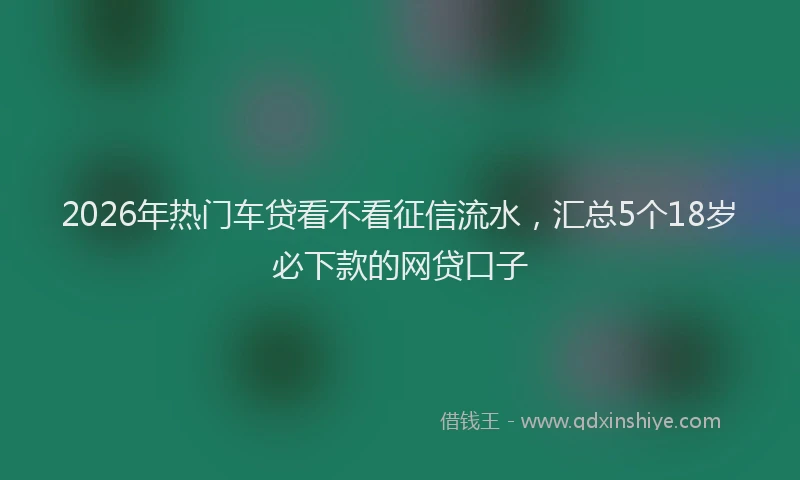 2026年热门车贷看不看征信流水，汇总5个18岁必下款的网贷口子