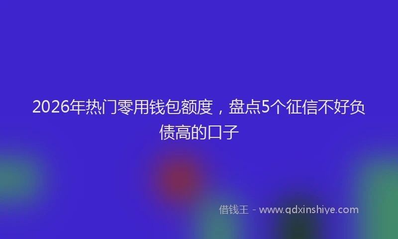 2026年热门零用钱包额度,盘点5个征信不好负债高的口子