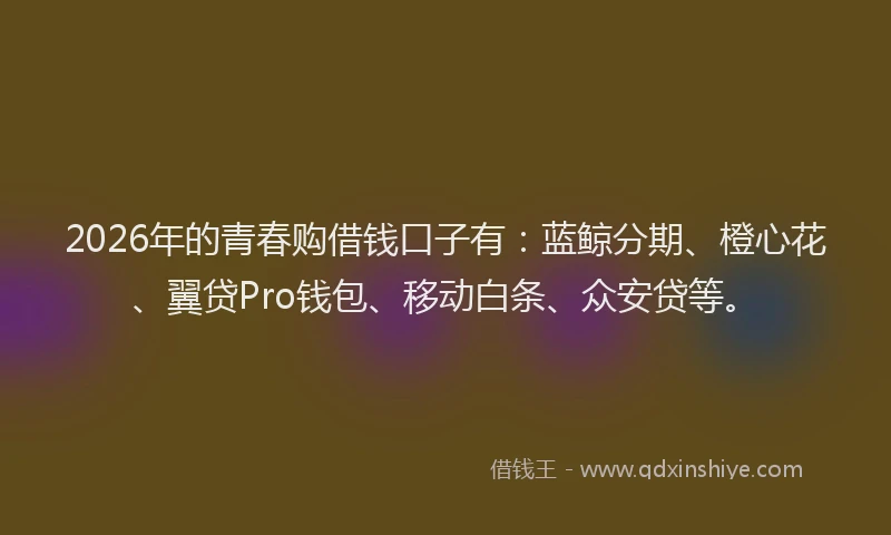 2026年的青春购借钱口子有：蓝鲸分期、橙心花、翼贷Pro钱包、移动白条、众安贷等。