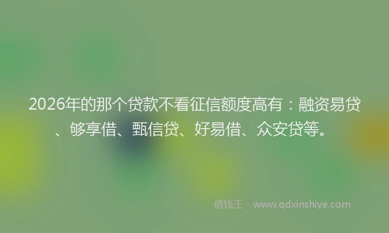 2026年的那个贷款不看征信额度高有：融资易贷、够享借、甄信贷、好易借、众安贷等。