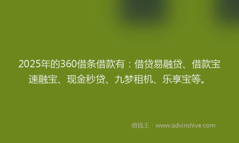 2025年的360借条借款有：借贷易融贷、借款宝速融宝、现金秒贷、九梦租机、乐享宝等。