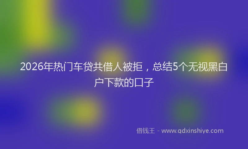 2026年热门车贷共借人被拒，总结5个无视黑白户下款的口子