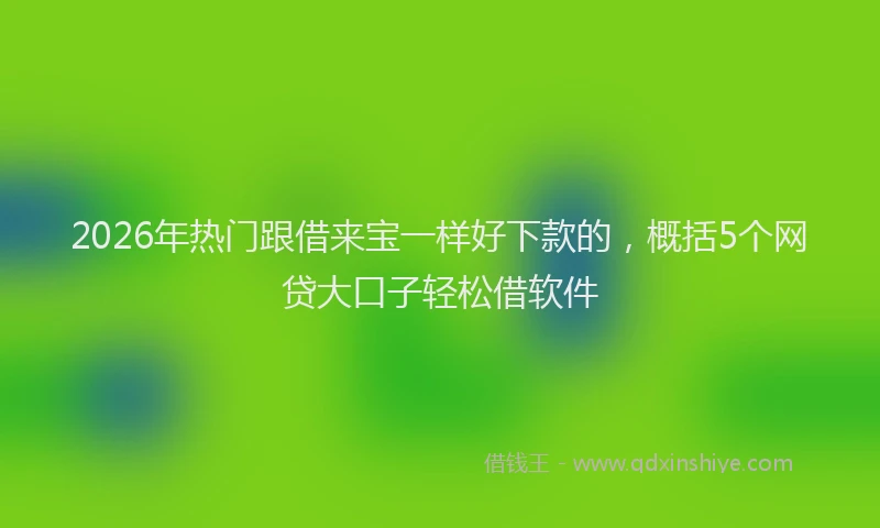 2026年热门跟借来宝一样好下款的，概括5个网贷大口子轻松借软件