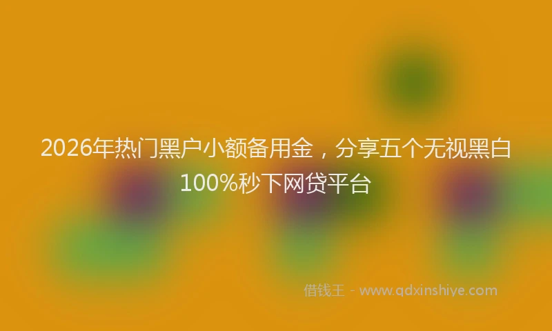 2026年热门黑户小额备用金，分享五个无视黑白100%秒下网贷平台