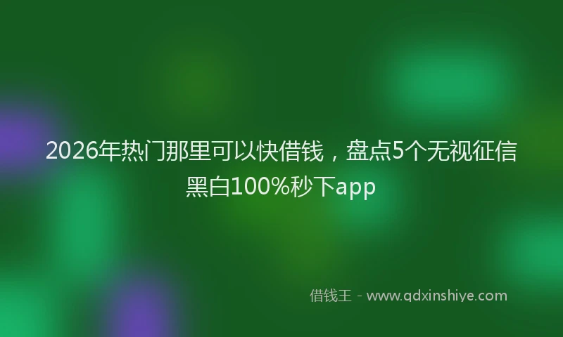 2026年热门那里可以快借钱，盘点5个无视征信黑白100%秒下app