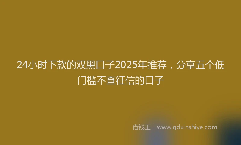 24小时下款的双黑口子2025年推荐，分享五个低门槛不查征信的口子
