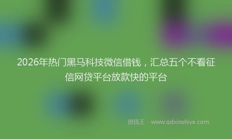 2026年热门黑马科技微信借钱，汇总五个不看征信网贷平台放款快的平台