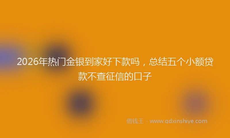 2026年热门金银到家好下款吗，总结五个小额贷款不查征信的口子