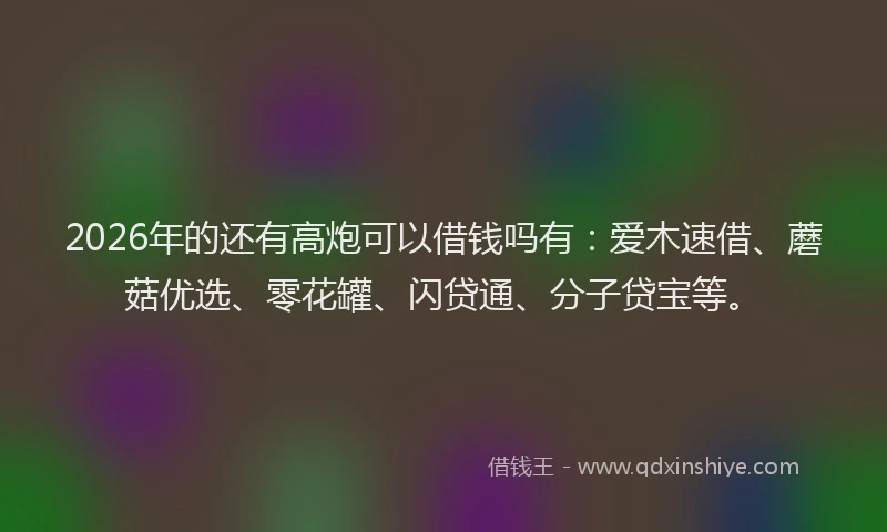 2026年的还有高炮可以借钱吗有：爱木速借、蘑菇优选、零花罐、闪贷通、分子贷宝等。