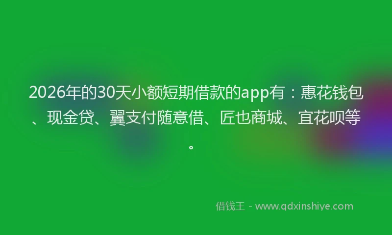 2026年的30天小额短期借款的app有：惠花钱包、现金贷、翼支付随意借、匠也商城、宜花呗等。