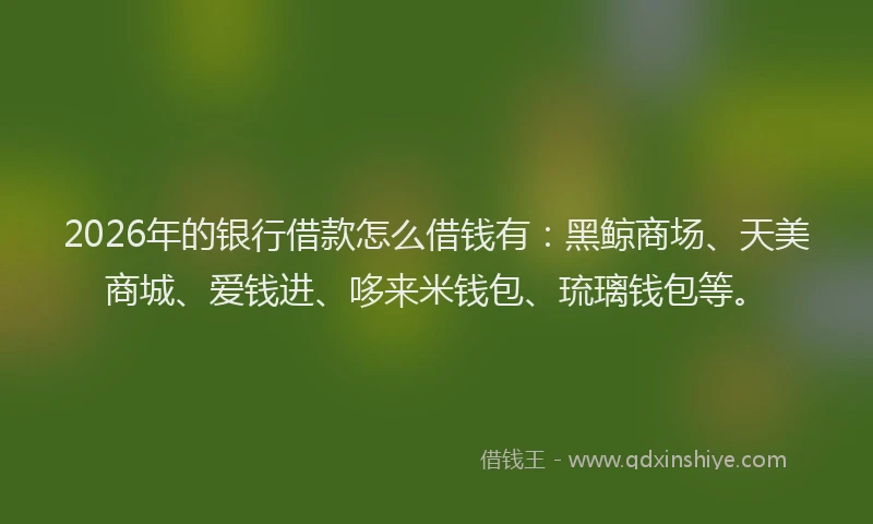 2026年的银行借款怎么借钱有：黑鲸商场、天美商城、爱钱进、哆来米钱包、琉璃钱包等。