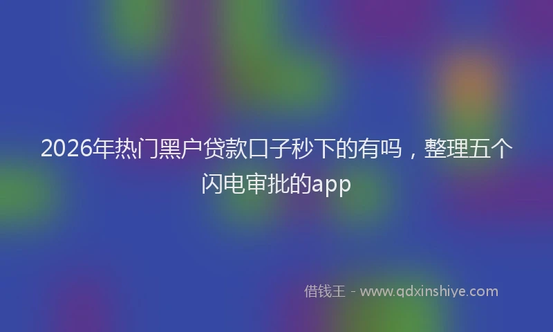 2026年热门黑户贷款口子秒下的有吗，整理五个闪电审批的app