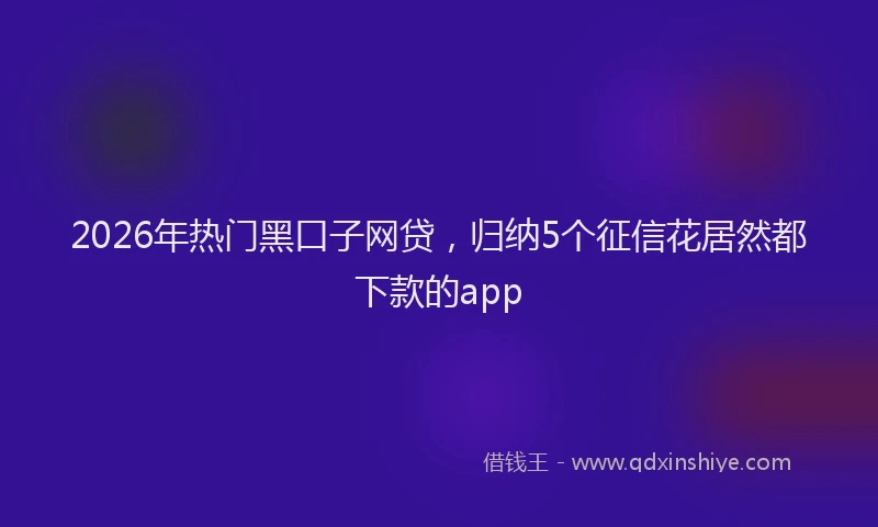 2026年热门黑口子网贷，归纳5个征信花居然都下款的app