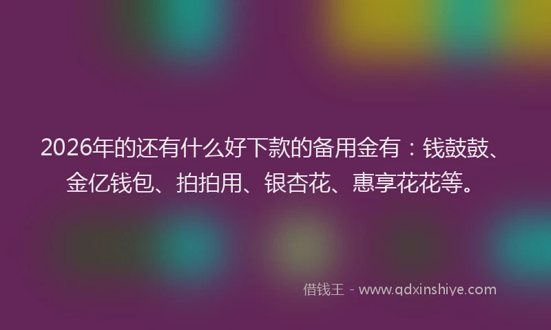 2026年的还有什么好下款的备用金有：钱鼓鼓、金亿钱包、拍拍用、银杏花、惠享花花等。