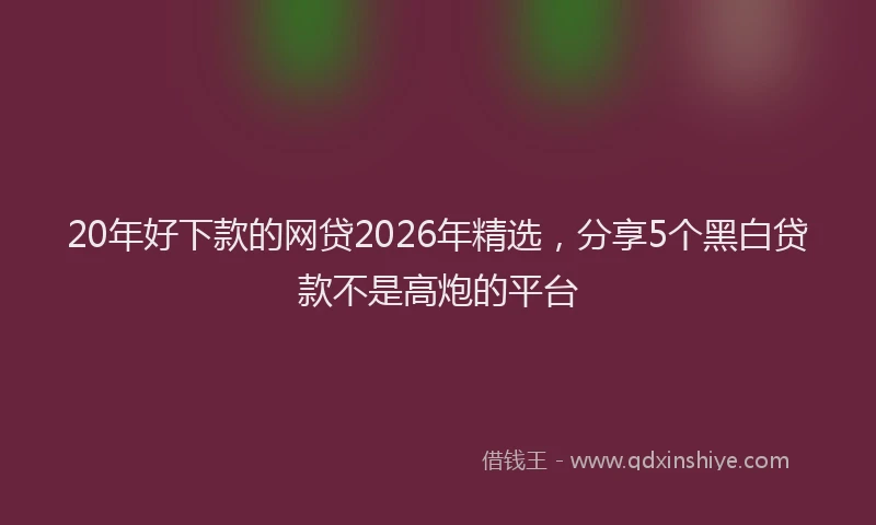 20年好下款的网贷2026年精选，分享5个黑白贷款不是高炮的平台