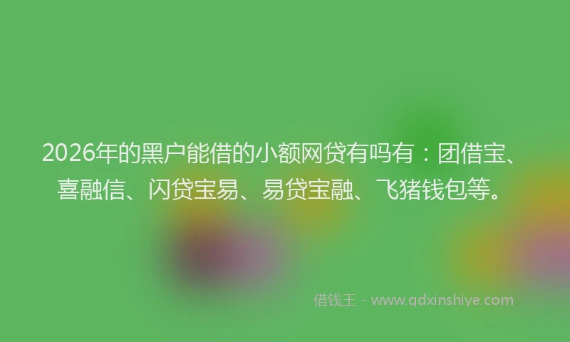 2026年的黑户能借的小额网贷有吗有：团借宝、喜融信、闪贷宝易、易贷宝融、飞猪钱包等。