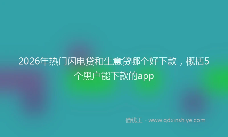 2026年热门闪电贷和生意贷哪个好下款，概括5个黑户能下款的app