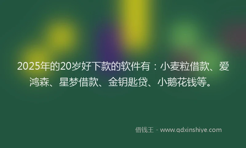 2025年的20岁好下款的软件有:小麦粒借款、爱鸿森、星梦借款、金钥匙贷、小鹅花钱等。