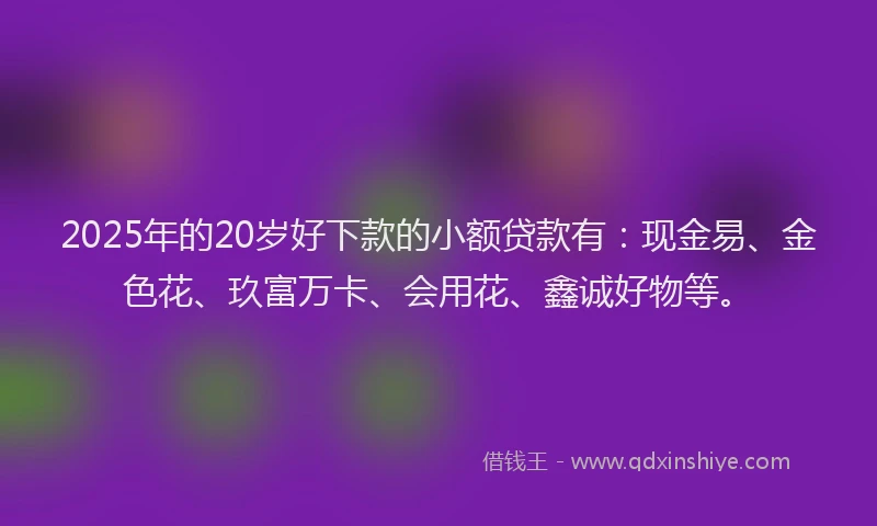 2025年的20岁好下款的小额贷款有：现金易、金色花、玖富万卡、会用花、鑫诚好物等。