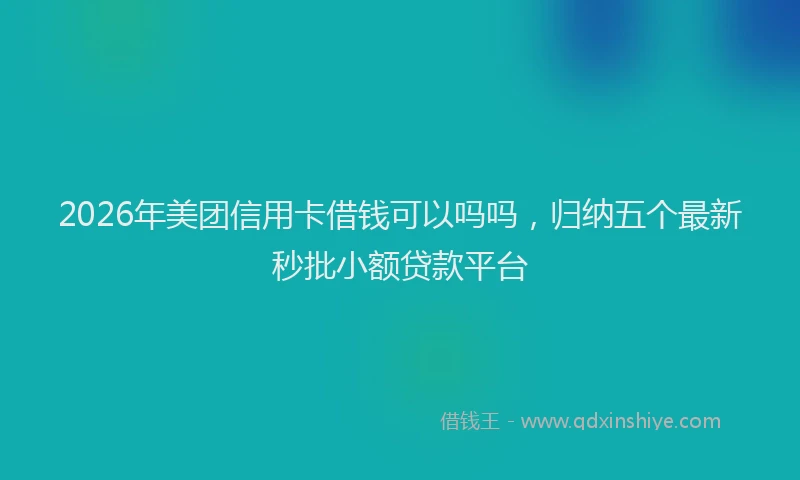 2026年美团信用卡借钱可以吗吗，归纳五个最新秒批小额贷款平台